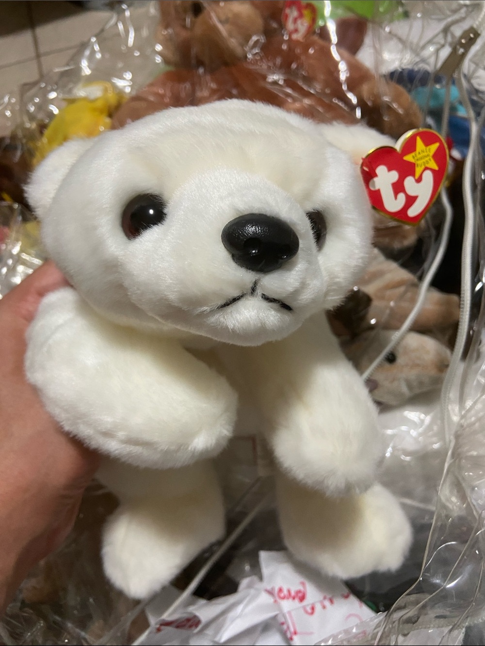 TY Beanie Babies Chilly 1998 White Polar Bear With Tag Plush Toy 14" Large